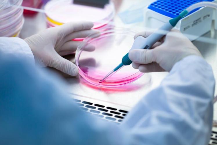 齊力蠕動泵在細(xì)胞培養(yǎng)中的應(yīng)用